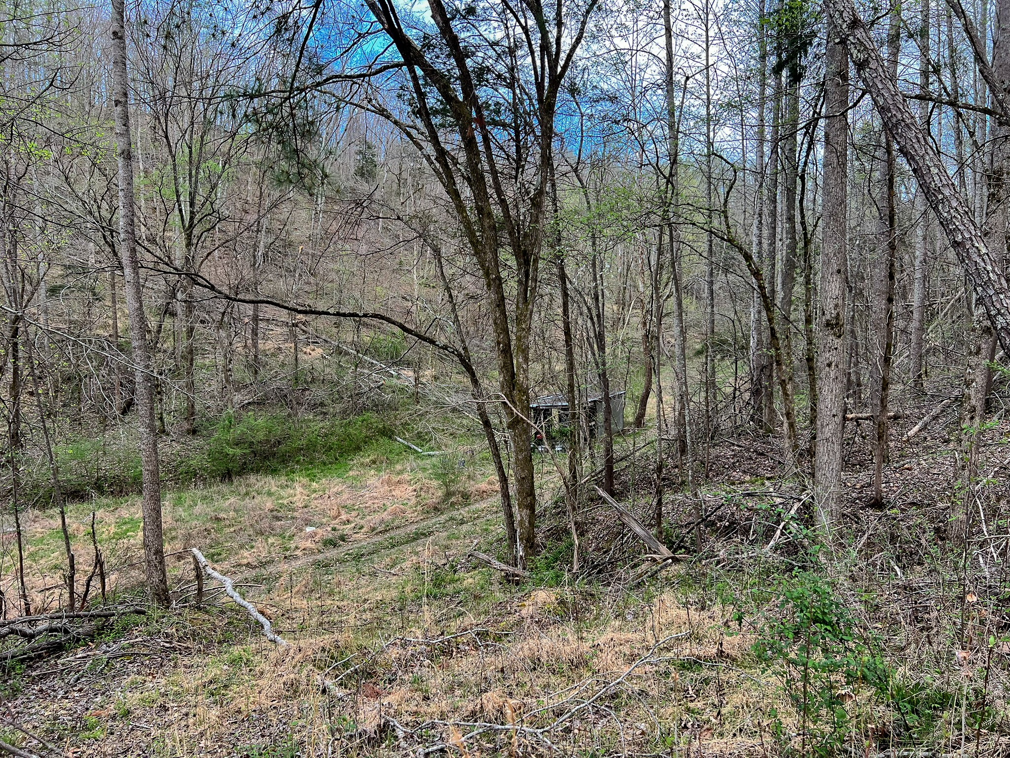 1755 Williams Road Centerville, TN 37033 - Photo 18 of 23 a backyard of a house with lots of green space
