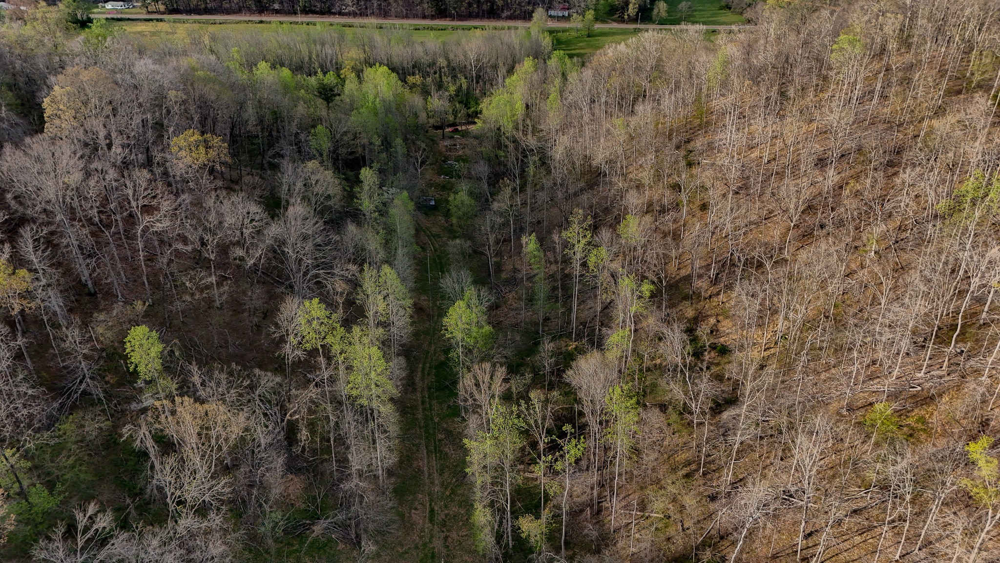 1755 Williams Road Centerville, TN 37033 - Photo 22 of 23 a view of a lake and green space