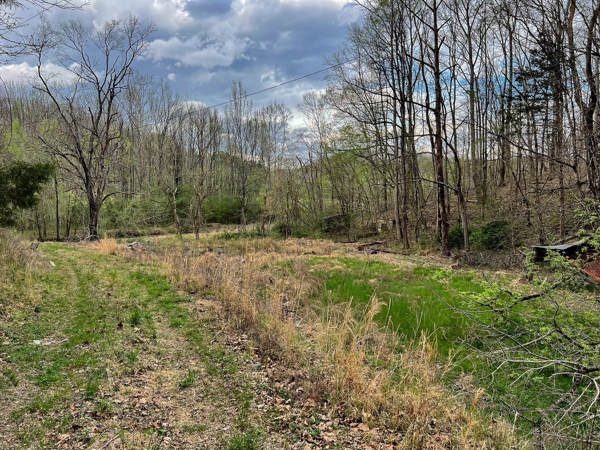 1755 Williams Road Centerville, TN 37033 - Photo 3 of 23 a view of outdoor space with trees all around