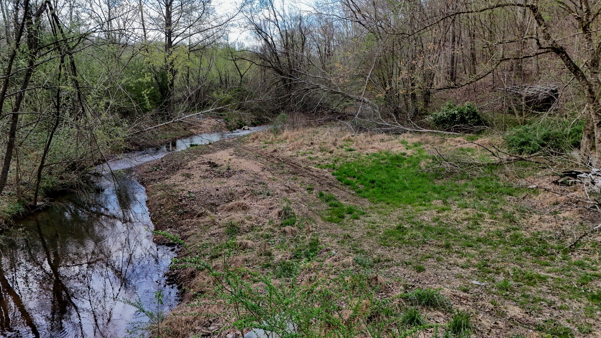 1755 Williams Road Centerville, TN 37033 - Photo 4 of 23 a view of a forest with trees in the background