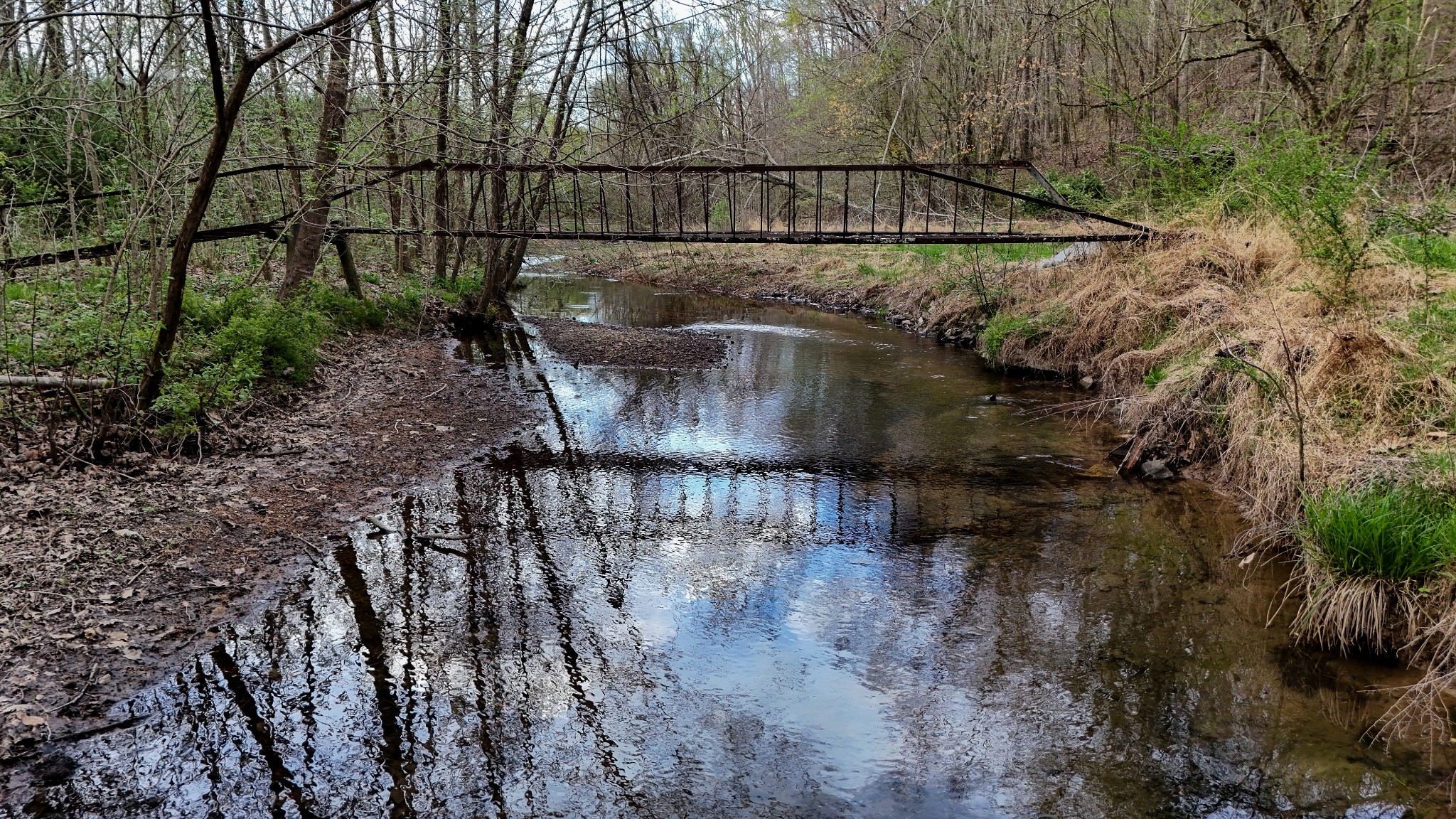 1755 Williams Road Centerville, TN 37033 - Photo 5 of 23 a view of swimming pool with a yard