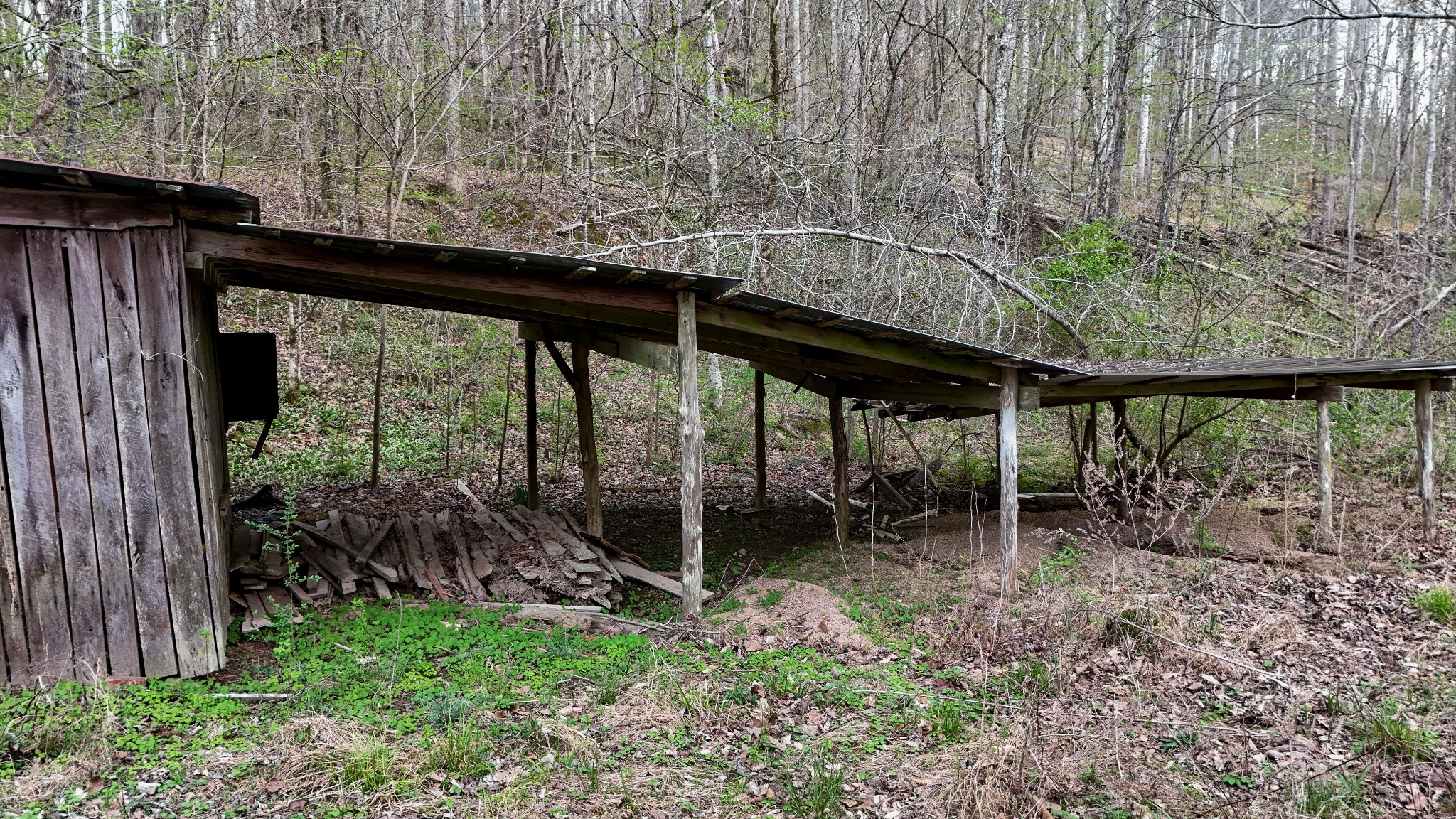 1755 Williams Road Centerville, TN 37033 - Photo 7 of 23 a view of a backyard with plants and outdoor seating