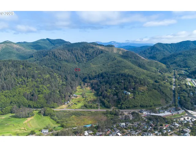 a view of a mountain in the distance