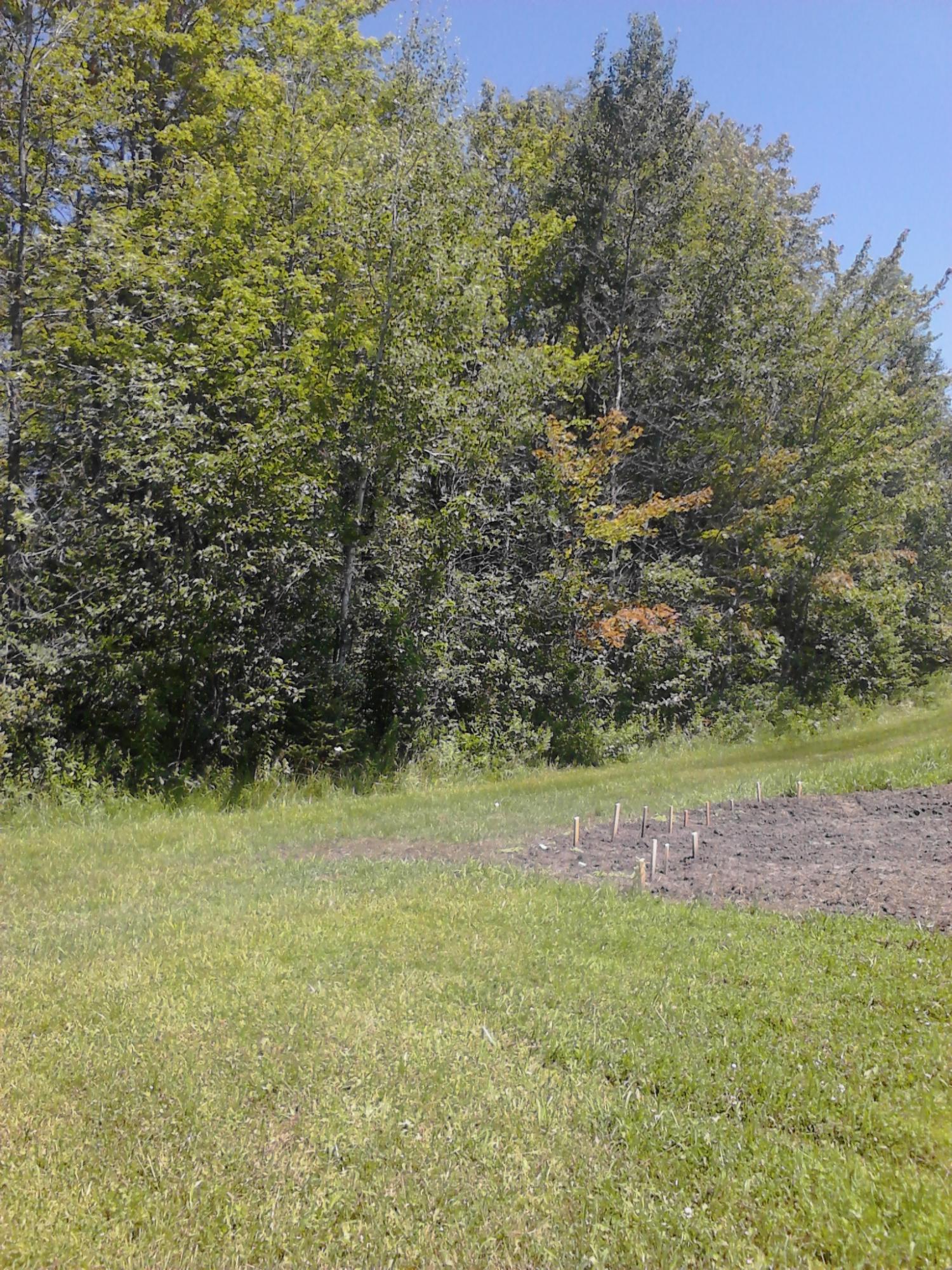 11376 Maple Lane Road Posen, MI 49776 - Photo 3 of 5 Gallery Image 3