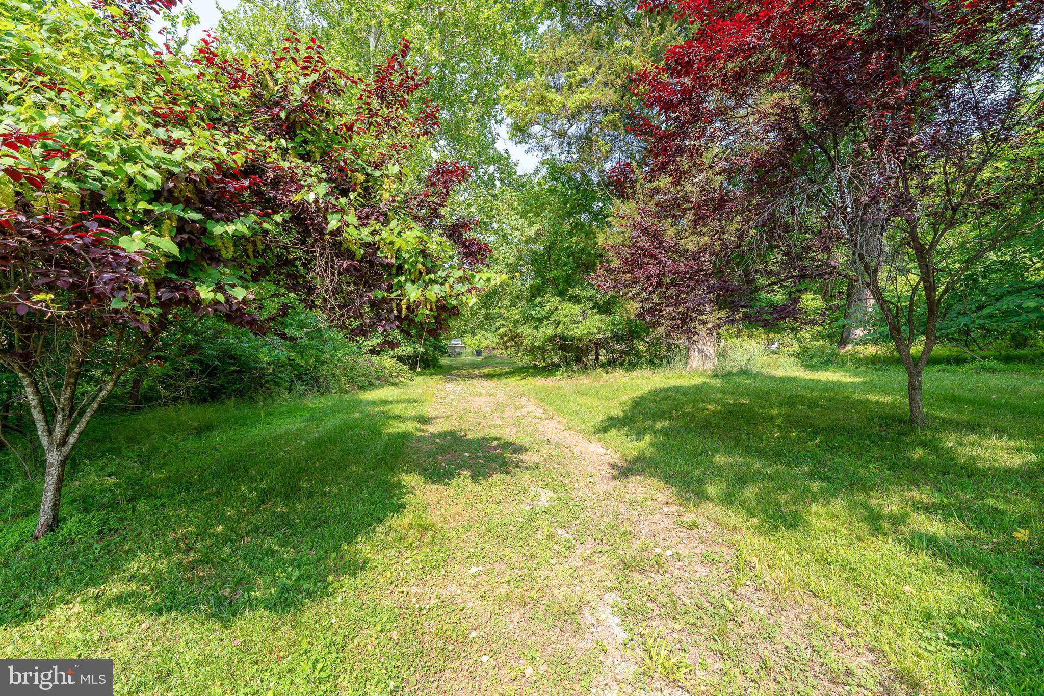 11401 Belvidere Road Bowie, MD 20721 - Photo 11 of 11