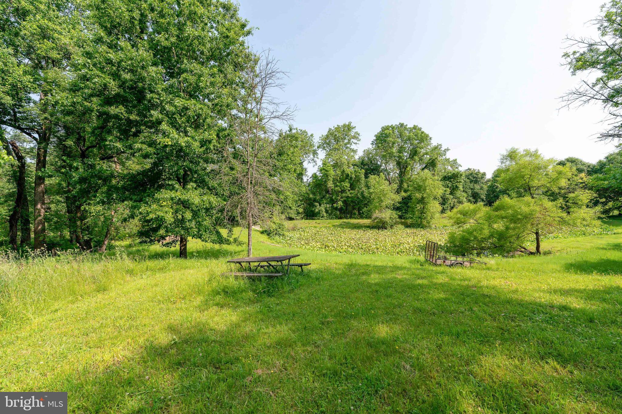 11401 Belvidere Road Bowie, MD 20721 - Photo 5 of 11