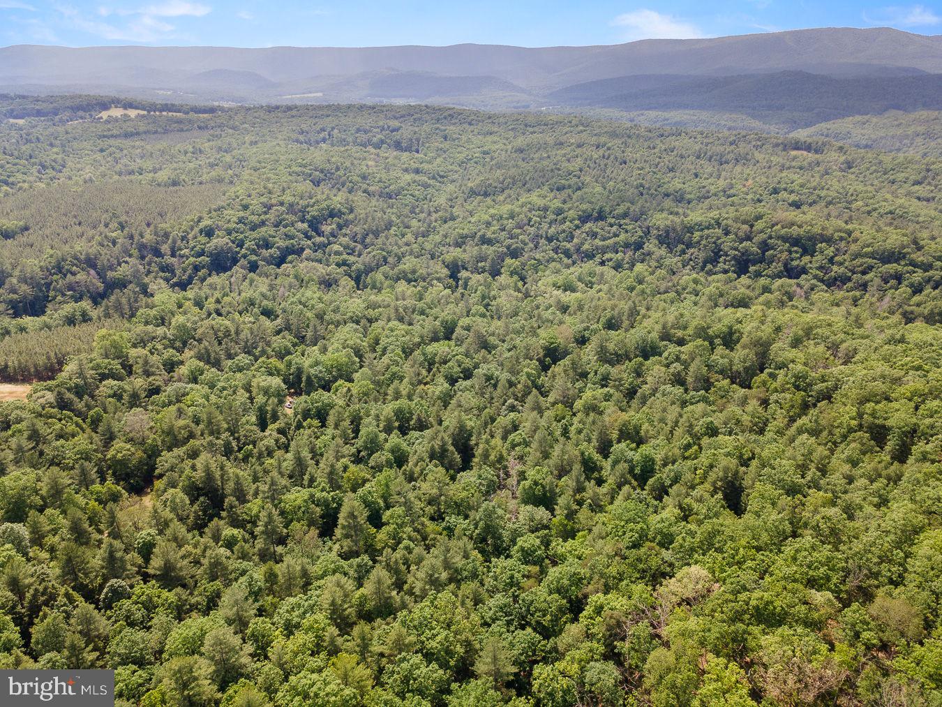 1499 Buggy Ridge Road Mount Jackson, VA 22842 - Photo 25 of 39 52 Acres with National Forest access