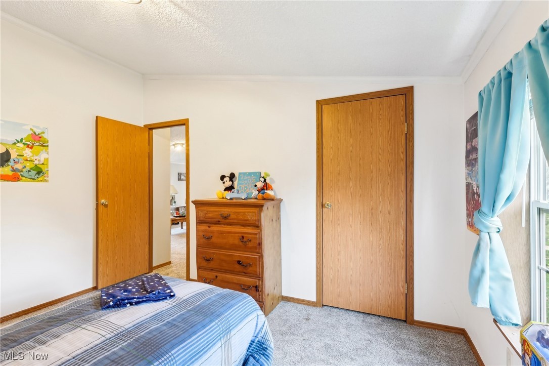 8307 Slagle Road Windham, OH 44288 - Photo 21 of 39 Bedroom with baseboards, light colored carpet, and vaulted ceiling