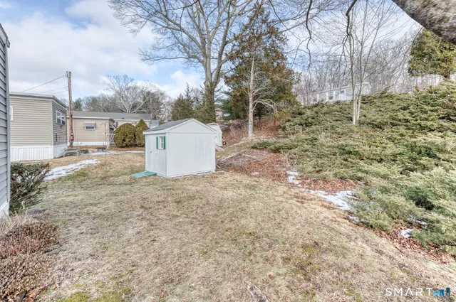 a view of a outdoor space with a tree