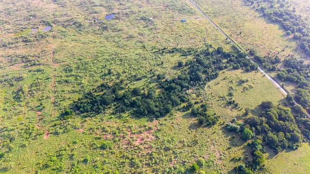a view of outdoor space with swimming pool