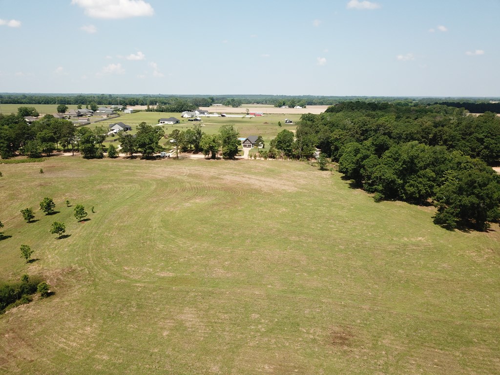 4.7-acres Lot 1 4.7-acres Road Fort Rucker, AL 36362 - Photo 3 of 3