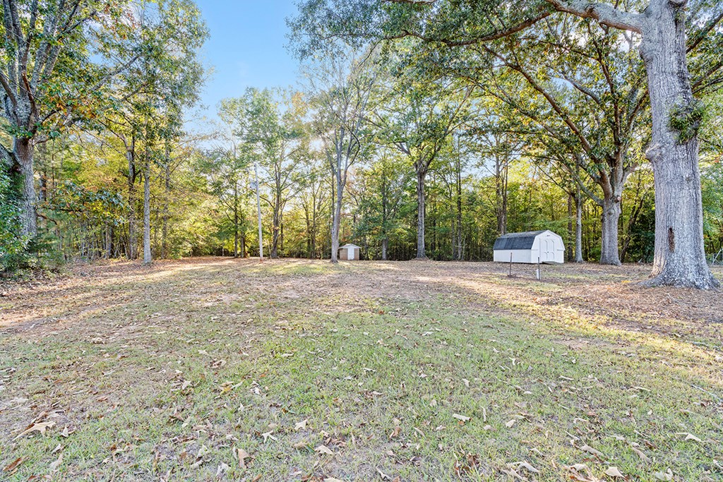 733 Highway 702 Chappells, SC 29037 - Photo 7 of 21 Gallery Image 7