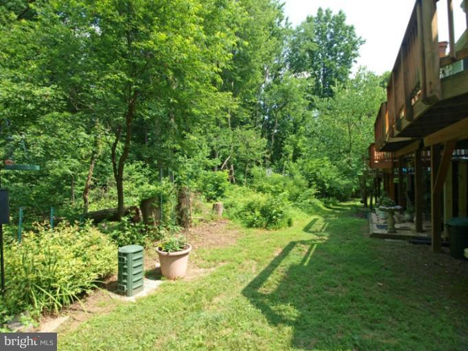 10737 Lester Street Silver Spring, MD 20902 - Photo 18 of 21 Backyard Area