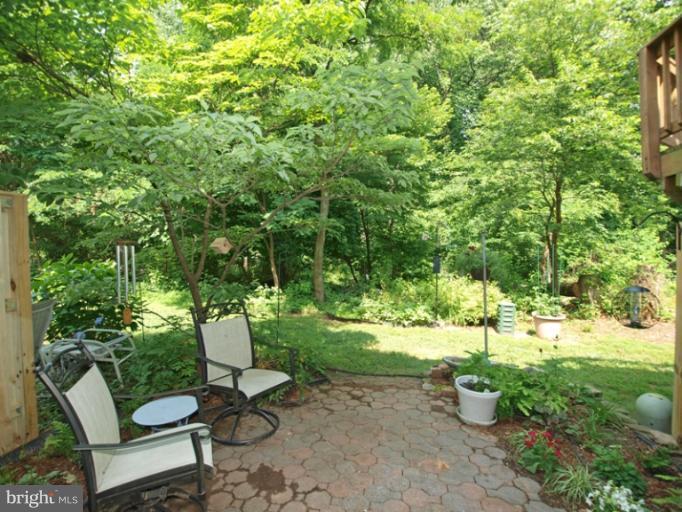 10737 Lester Street Silver Spring, MD 20902 - Photo 9 of 21 Patio View to Backyard
