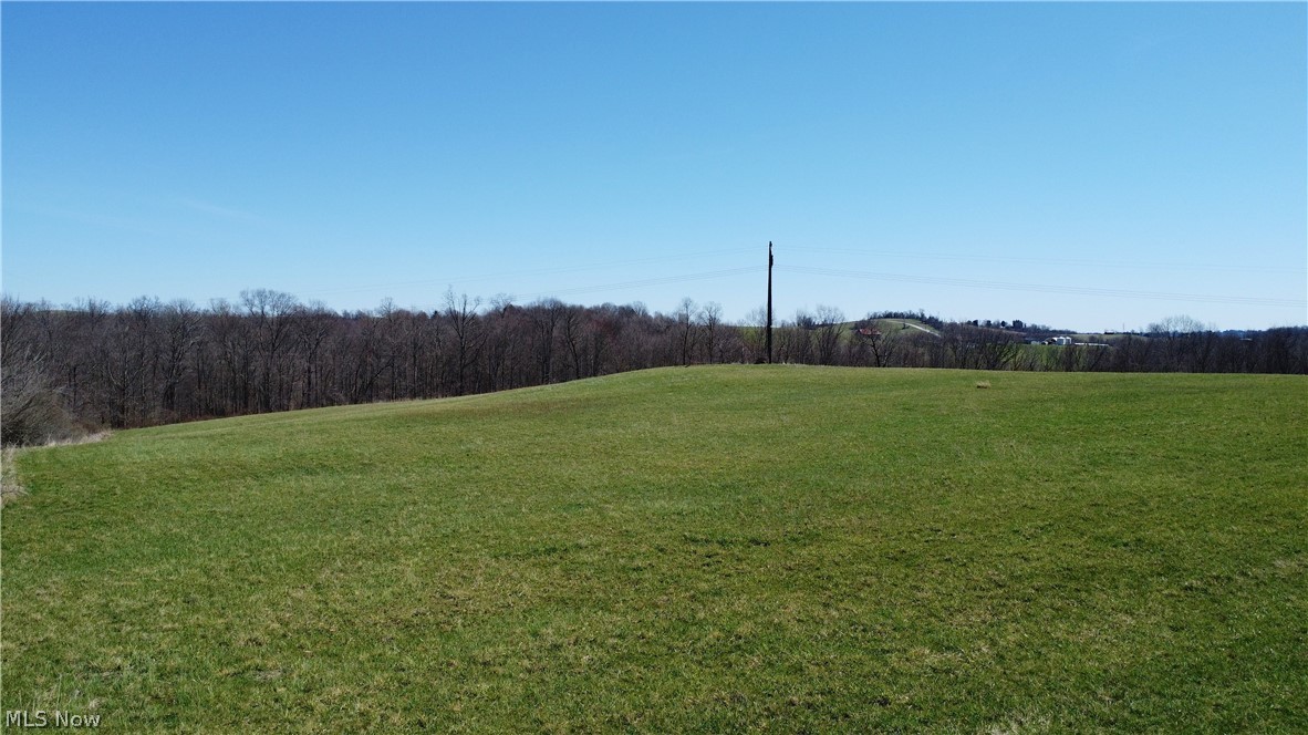 Zunick Road Bridgeport, OH 43912 - Photo 4 of 6