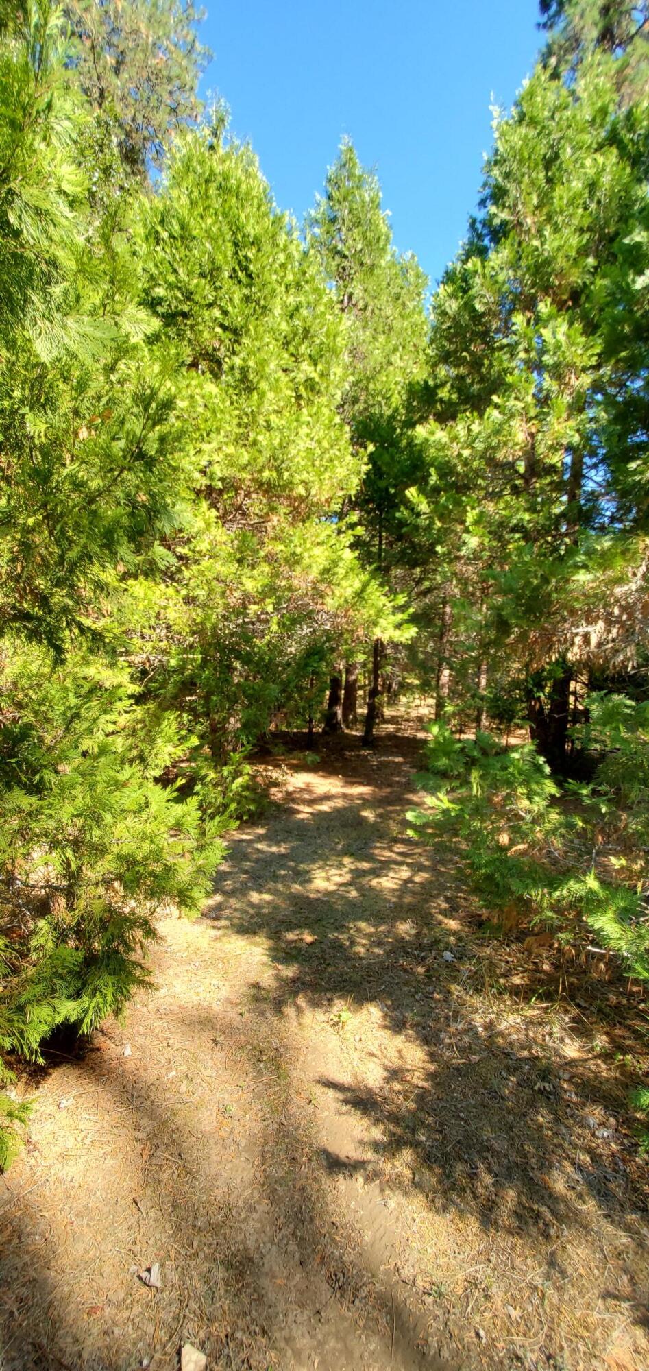 619 Placer Road Wolf Creek, OR 97497 - Photo 43 of 52 20210926_135603