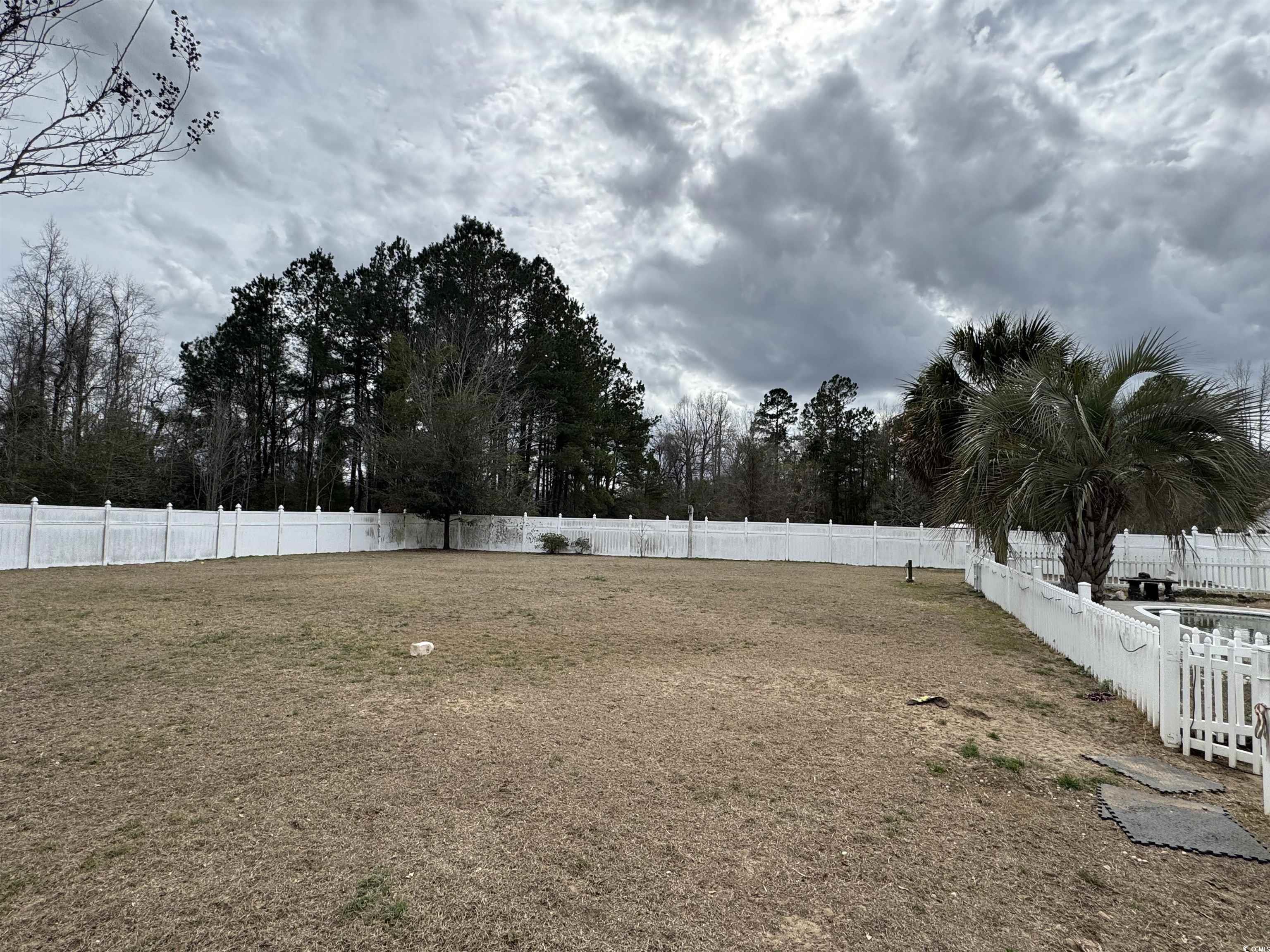 3156 Clearfield Road Galivants Ferry, SC 29544 - Photo 9 of 9 View of yard featuring a fenced backyard and a pat