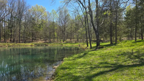 $1 | 305 Campers Lane, Creal Springs, IL 62922