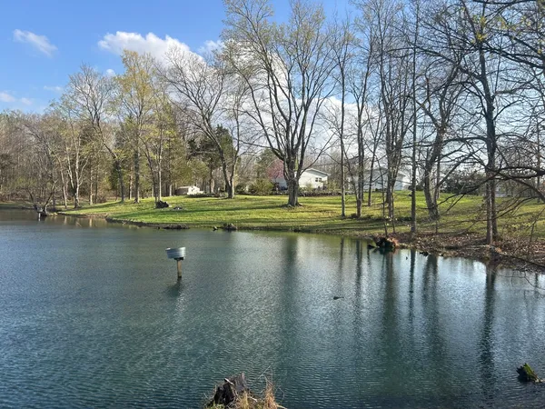a view of lake with trees