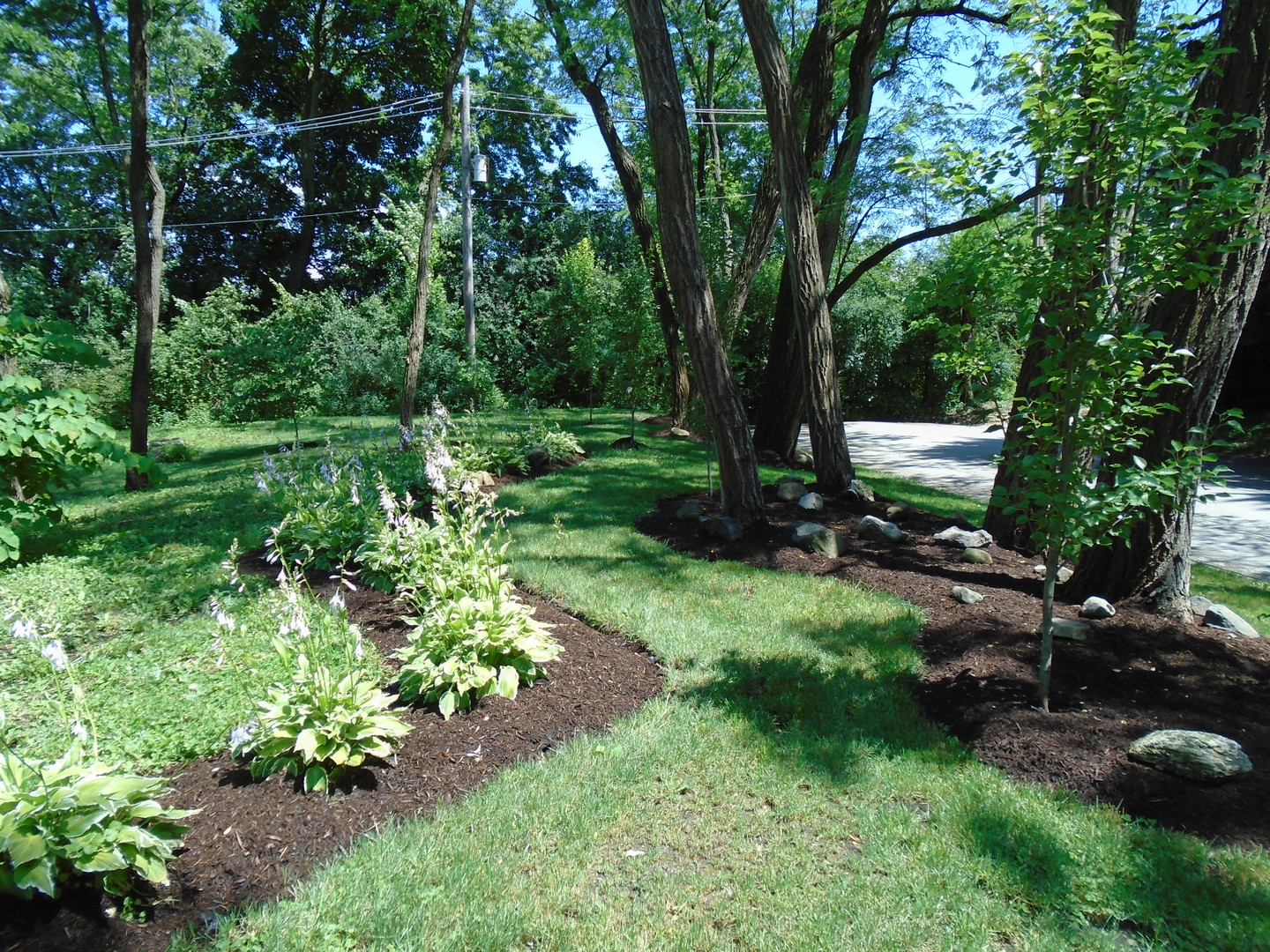 375 Deerpath Square Lake Forest, IL 60045 - Photo 1 of 23 a backyard of a house with lots of green space