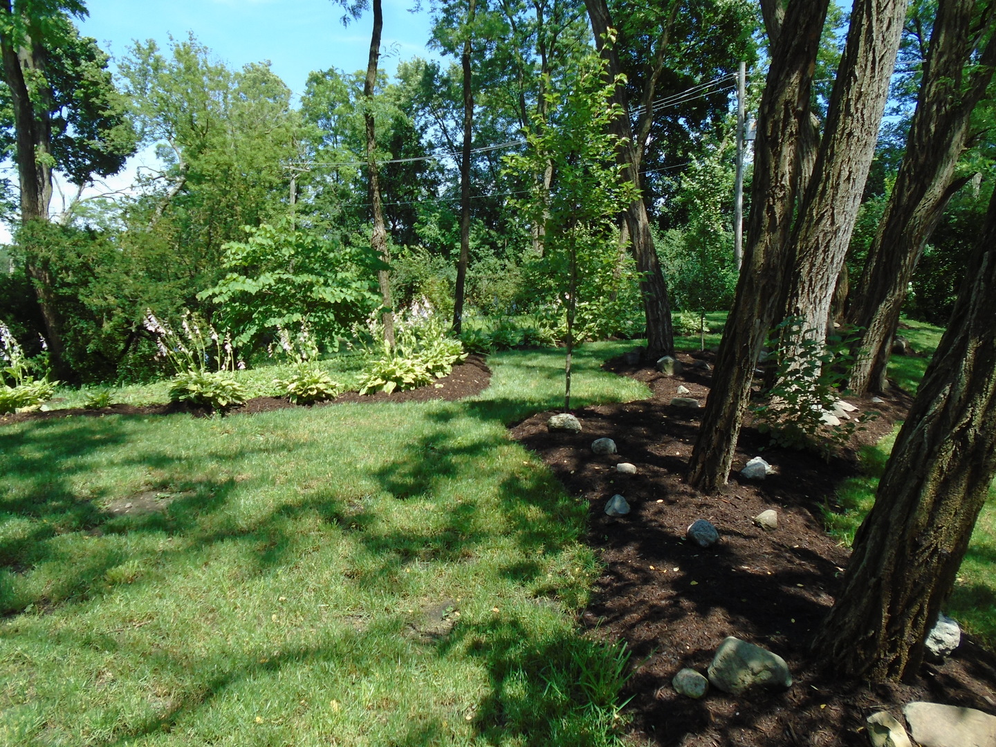 375 Deerpath Square Lake Forest, IL 60045 - Photo 13 of 23 a view of a lush green forest