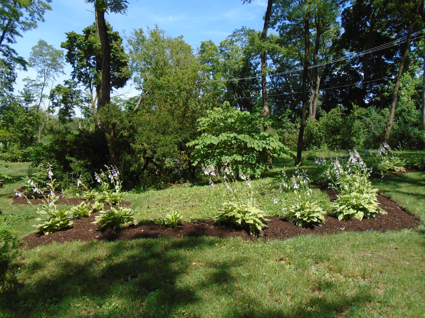 375 Deerpath Square Lake Forest, IL 60045 - Photo 14 of 23 a view of a garden with a tree