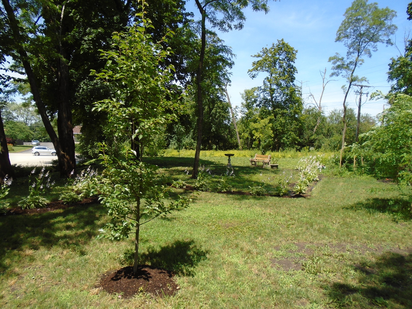 375 Deerpath Square Lake Forest, IL 60045 - Photo 15 of 23 a view of a green field with lots of bushes