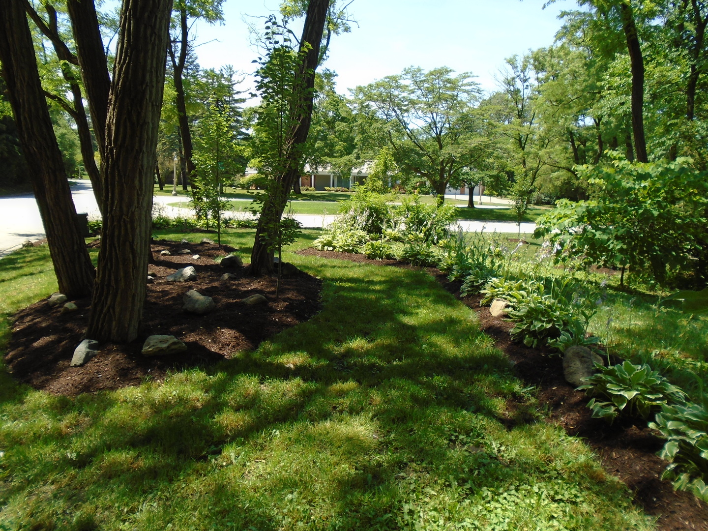 375 Deerpath Square Lake Forest, IL 60045 - Photo 16 of 23 a view of a forest with trees