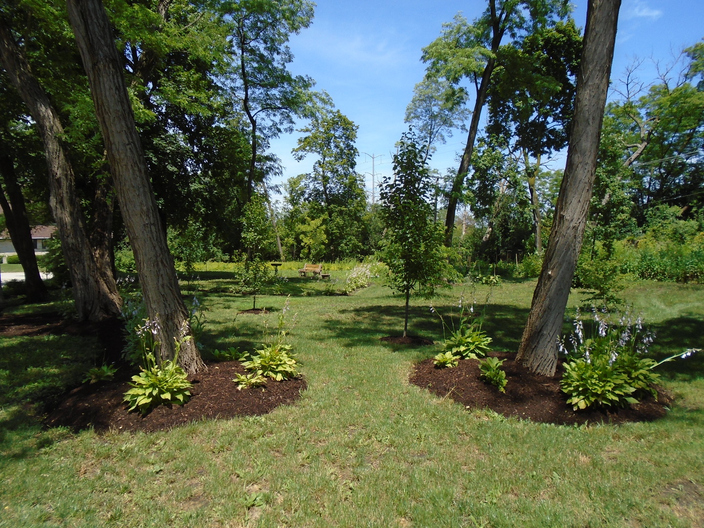 375 Deerpath Square Lake Forest, IL 60045 - Photo 2 of 23 a view of a lake with a yard