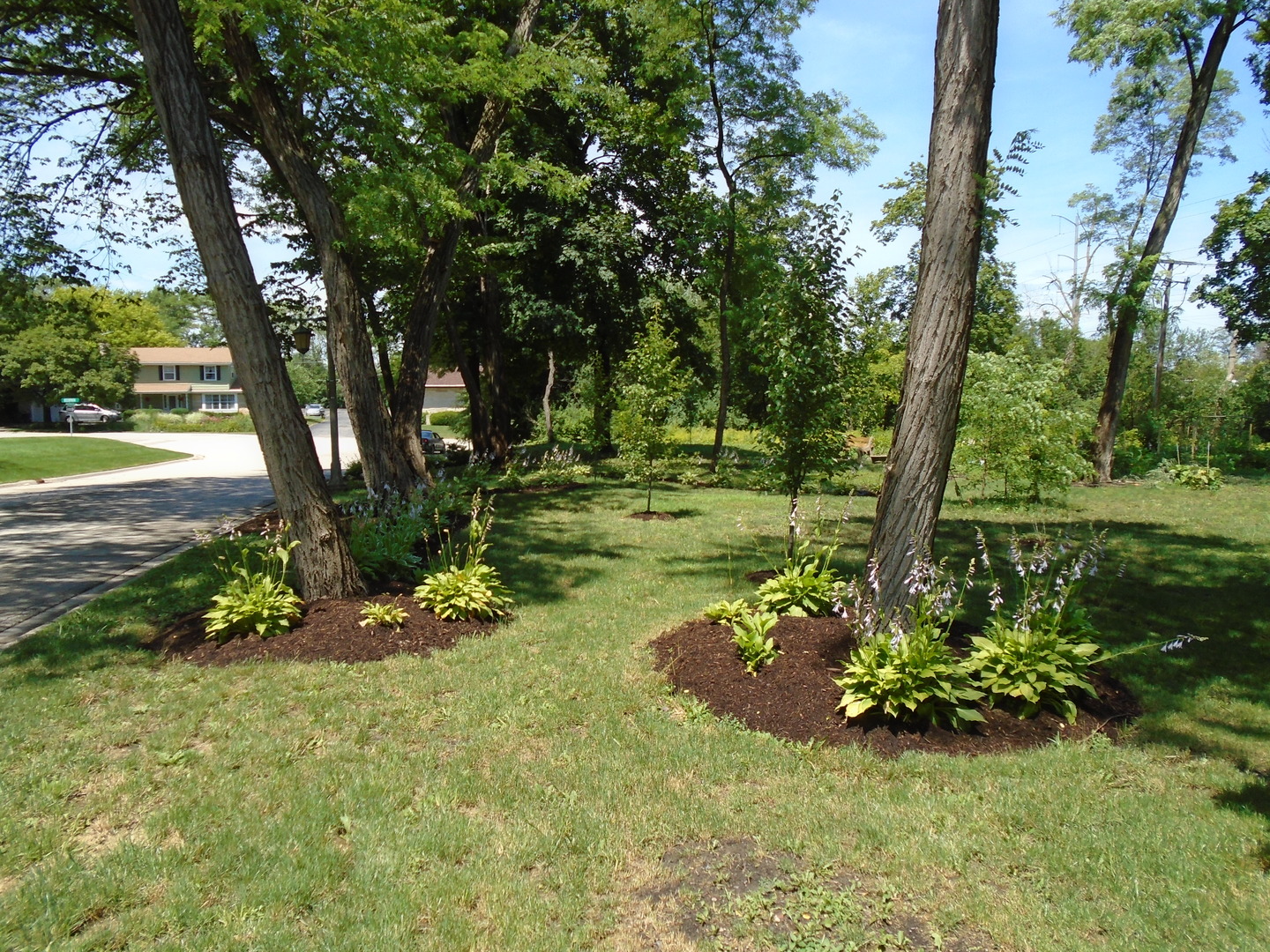 375 Deerpath Square Lake Forest, IL 60045 - Photo 4 of 23 a view of a garden with a tree