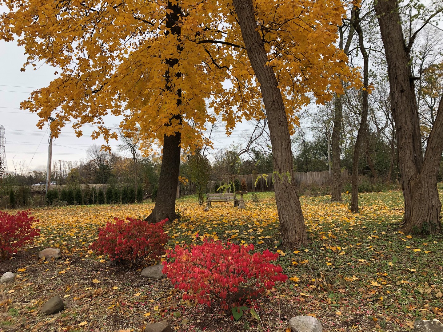 375 Deerpath Square Lake Forest, IL 60045 - Photo 5 of 23 a view of a yard with large trees