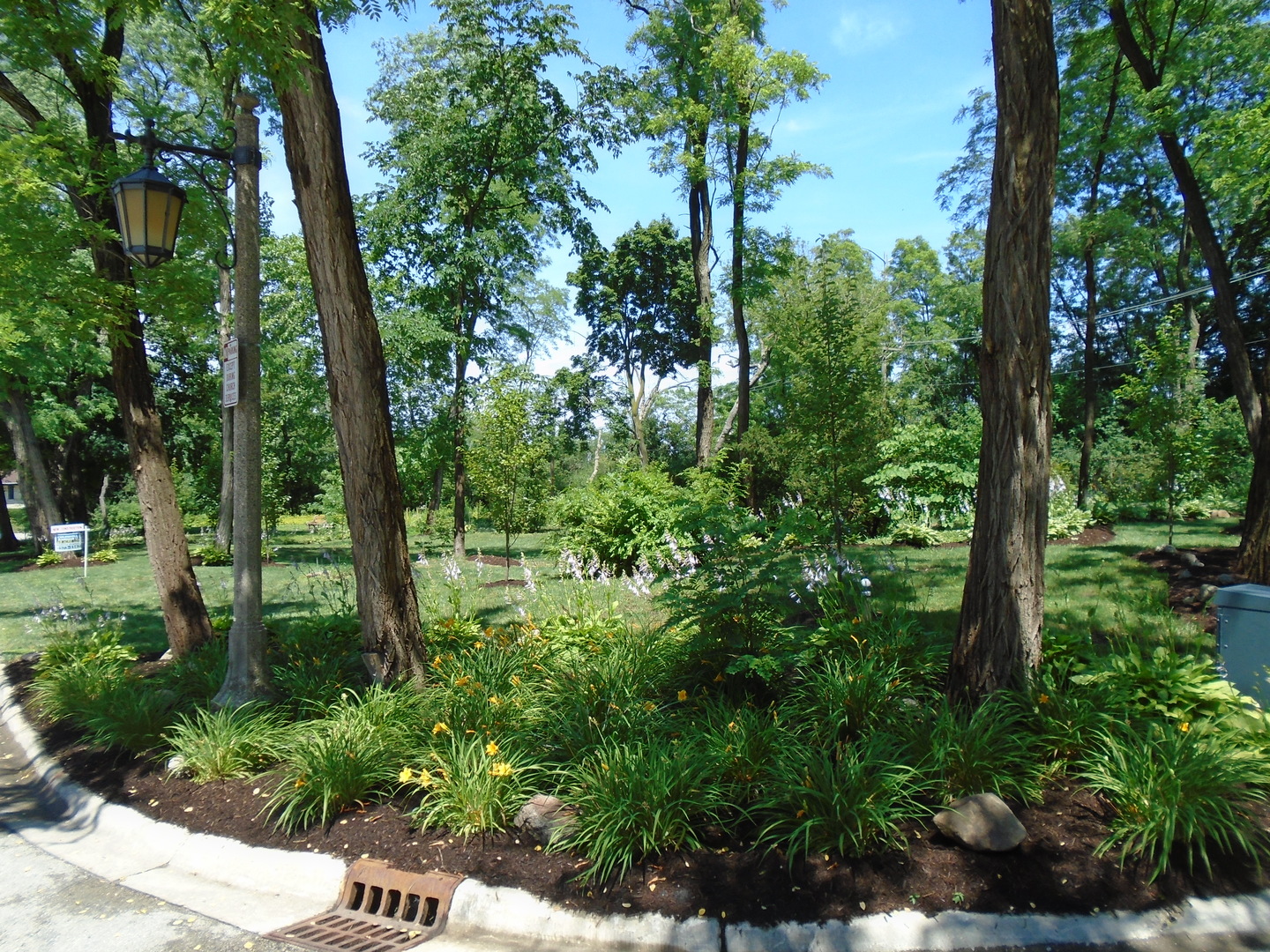 375 Deerpath Square Lake Forest, IL 60045 - Photo 6 of 23 a view of a garden