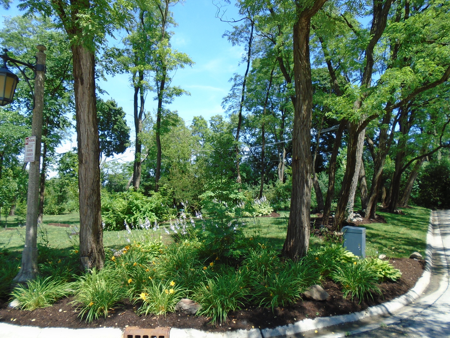 375 Deerpath Square Lake Forest, IL 60045 - Photo 9 of 23 a view of outdoor space and trees all around