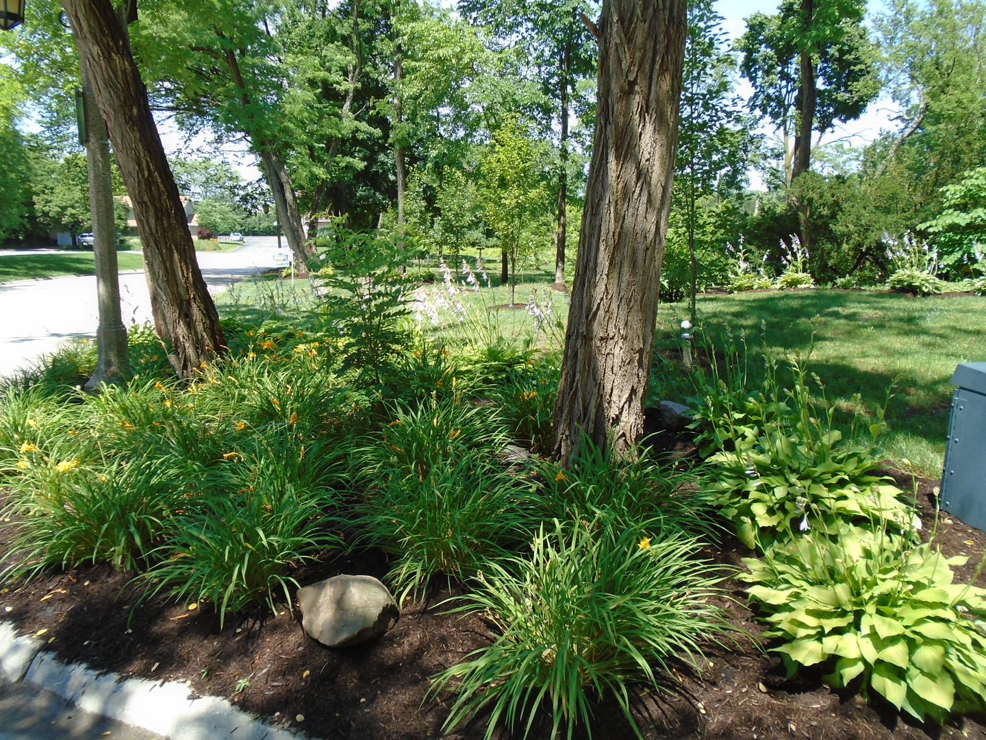 375 Deerpath Square Lake Forest, IL 60045 - Photo 10 of 23 a backyard of a house with lots of green space