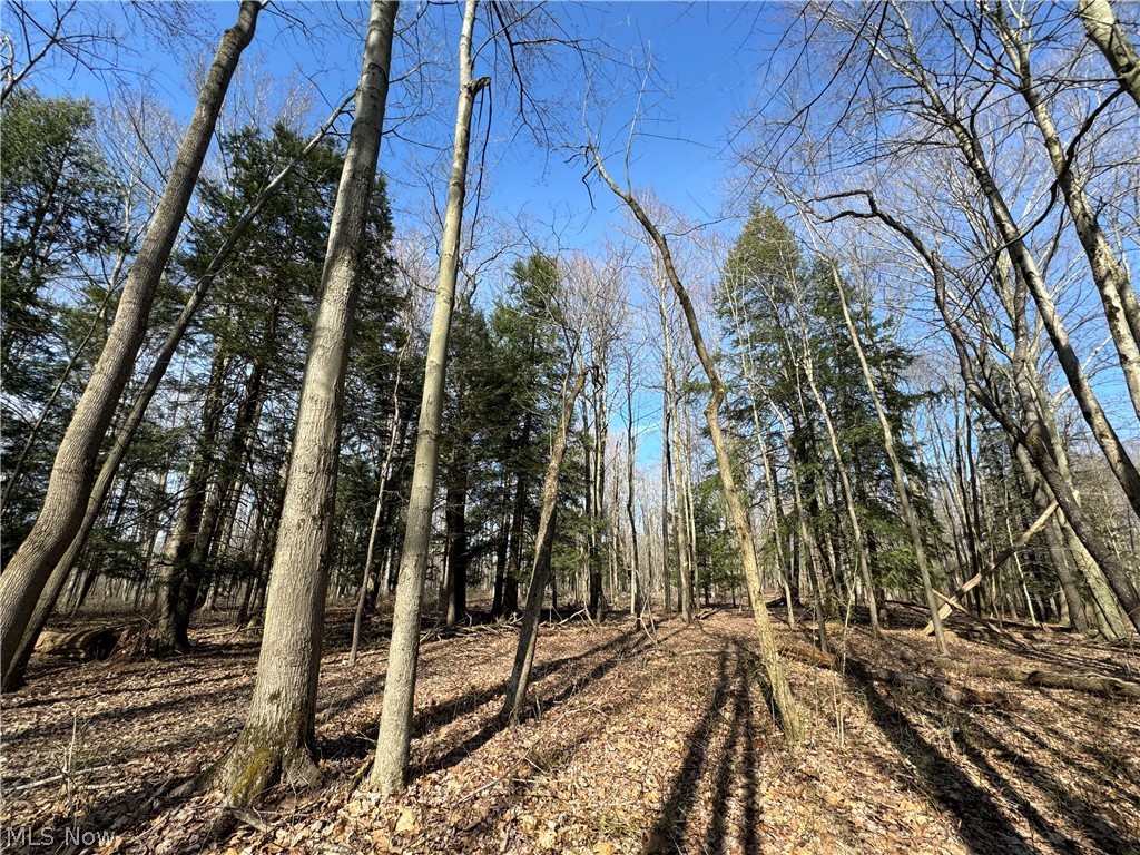 1 Leroy Center Road Thompson, OH 44086 - Photo 11 of 28