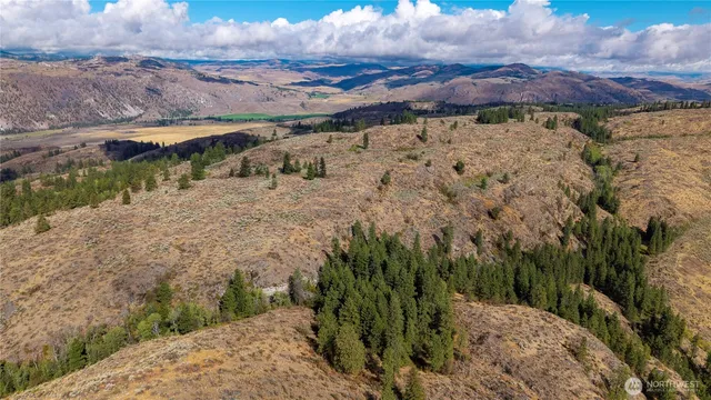 a view of a backyard with a lake