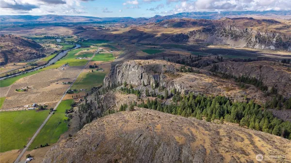 a view of a garden with a yard
