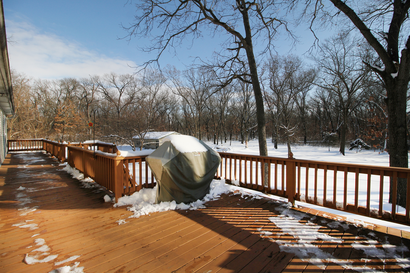 23335 Widows Road Wilmington, IL 60481 - Photo 22 of 26