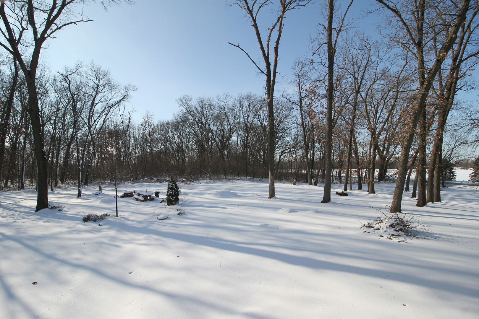23335 Widows Road Wilmington, IL 60481 - Photo 25 of 26