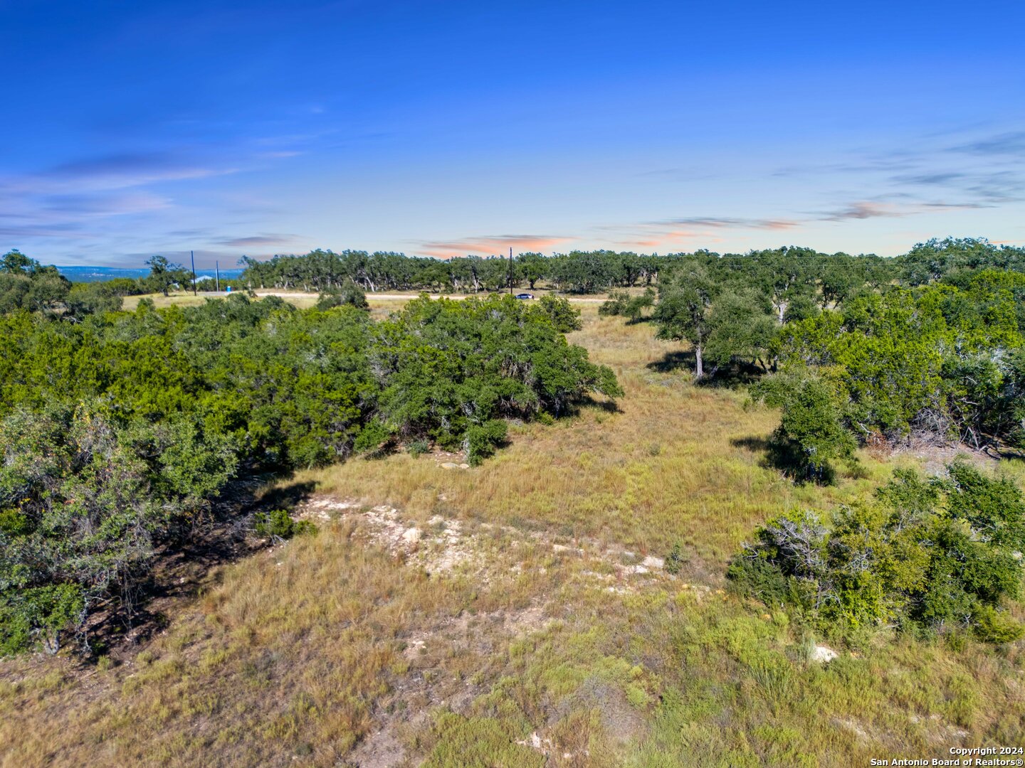 618 Windmill Ridge Drive Blanco, TX 78606 - Photo 8 of 14 a view of a yard with plants and a yard