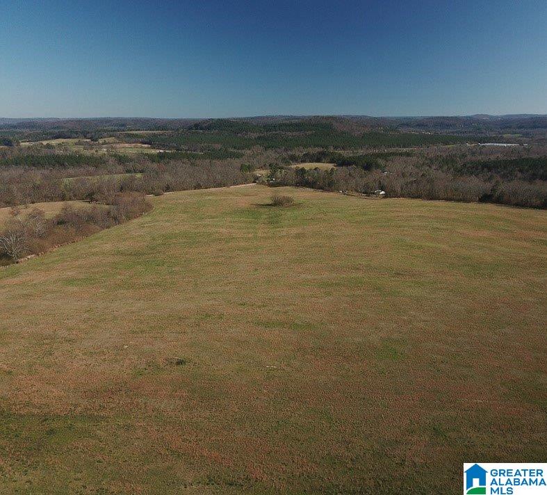 0 Posey Road, Unit TRACT 4 Blountsville, AL 35031 - Photo 3 of 6