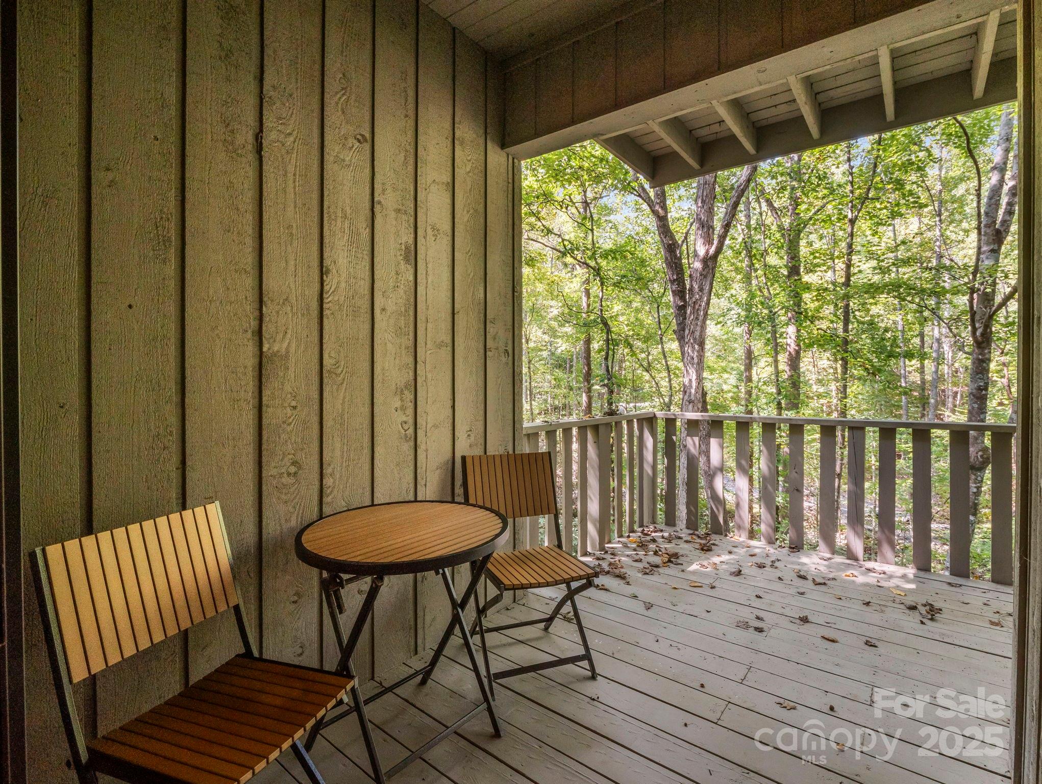 123 Mountain Village Boulevard Lake Lure, NC 28746 - Photo 18 of 31