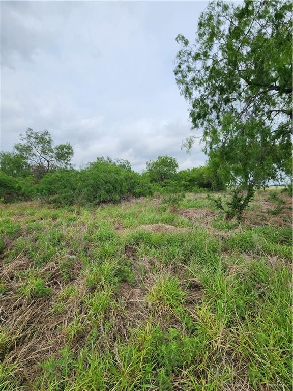 N/a N/a Ranchito Street Edinburg, TX 78541 - Photo 1 of 1 View of local wilderness