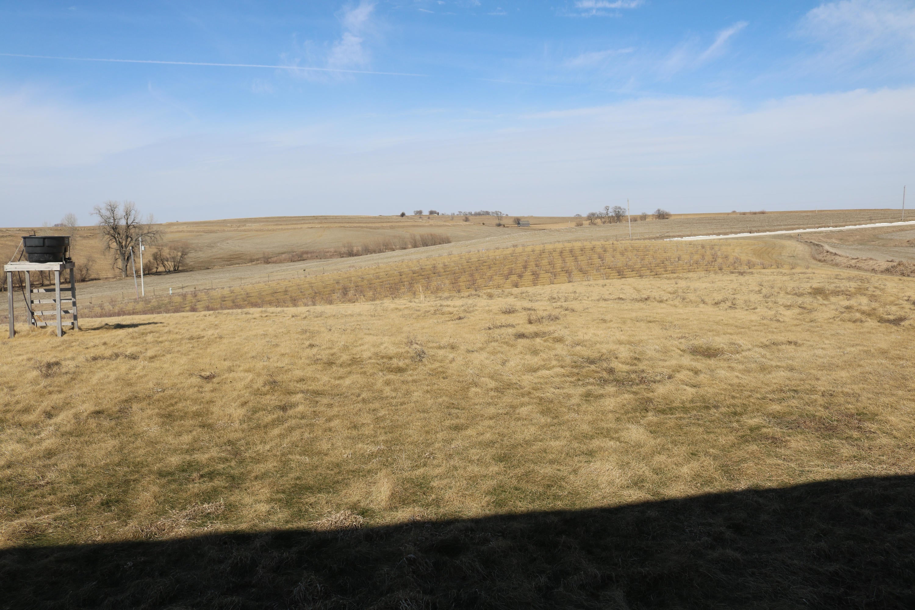 0 Honeysuckle Road McClelland, IA 51548 - Photo 5 of 11 Gallery Image 5