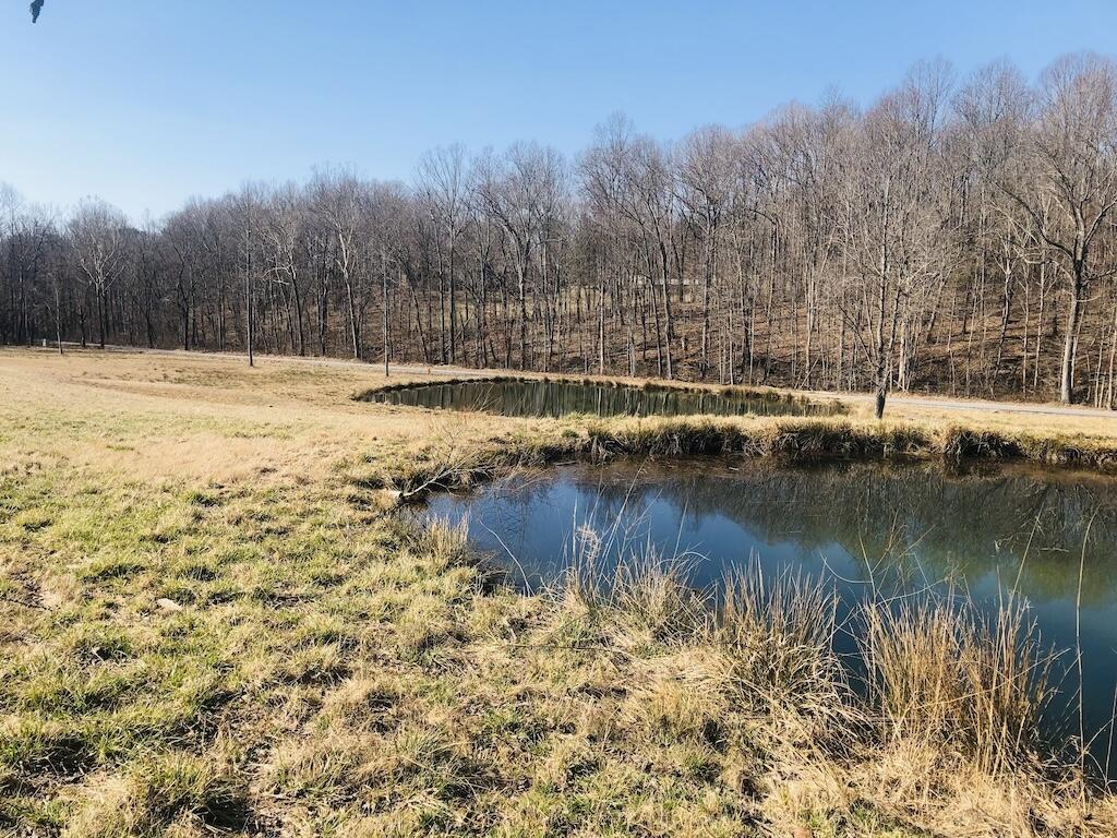 28-30 Oaks Road Jamestown, KY 42629 - Photo 6 of 12 IMG_3895