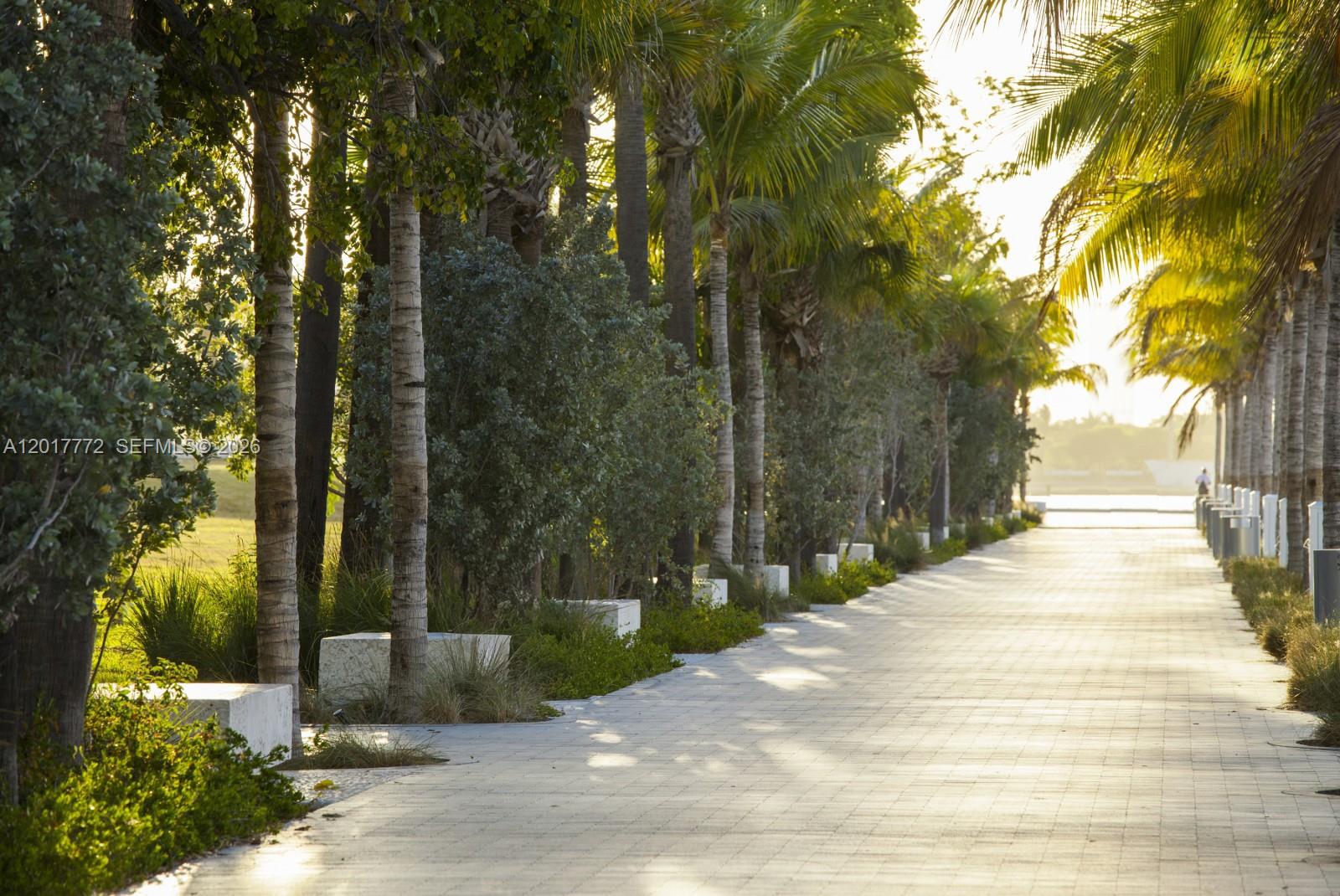 900 Biscayne Boulevard, Unit 4205 Miami, FL 33132 - Photo 33 of 35 a street view with large trees
