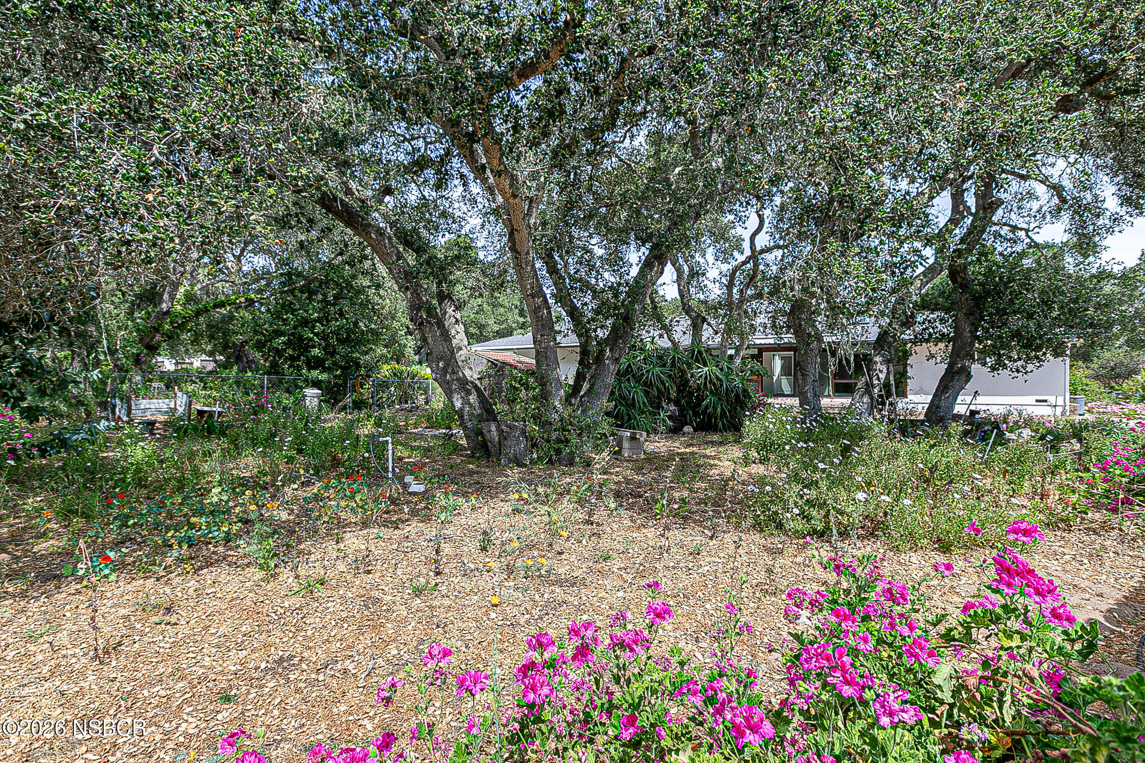 1260 Onstott Road Lompoc, CA 93436 - Photo 45 of 52 a view of a garden with flowers and trees