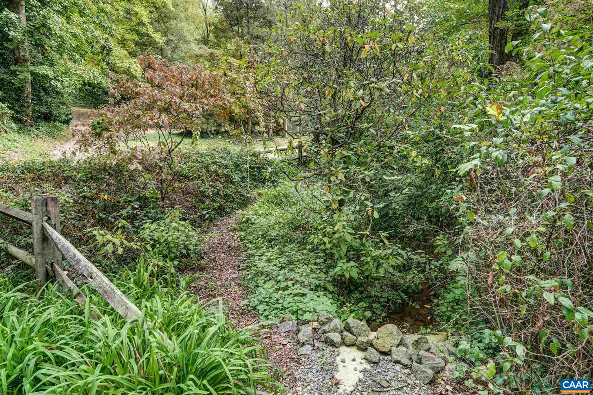 2006 Meadowbrook Road Charlottesville, VA 22903 - Photo 35 of 43 a view of a lush green forest