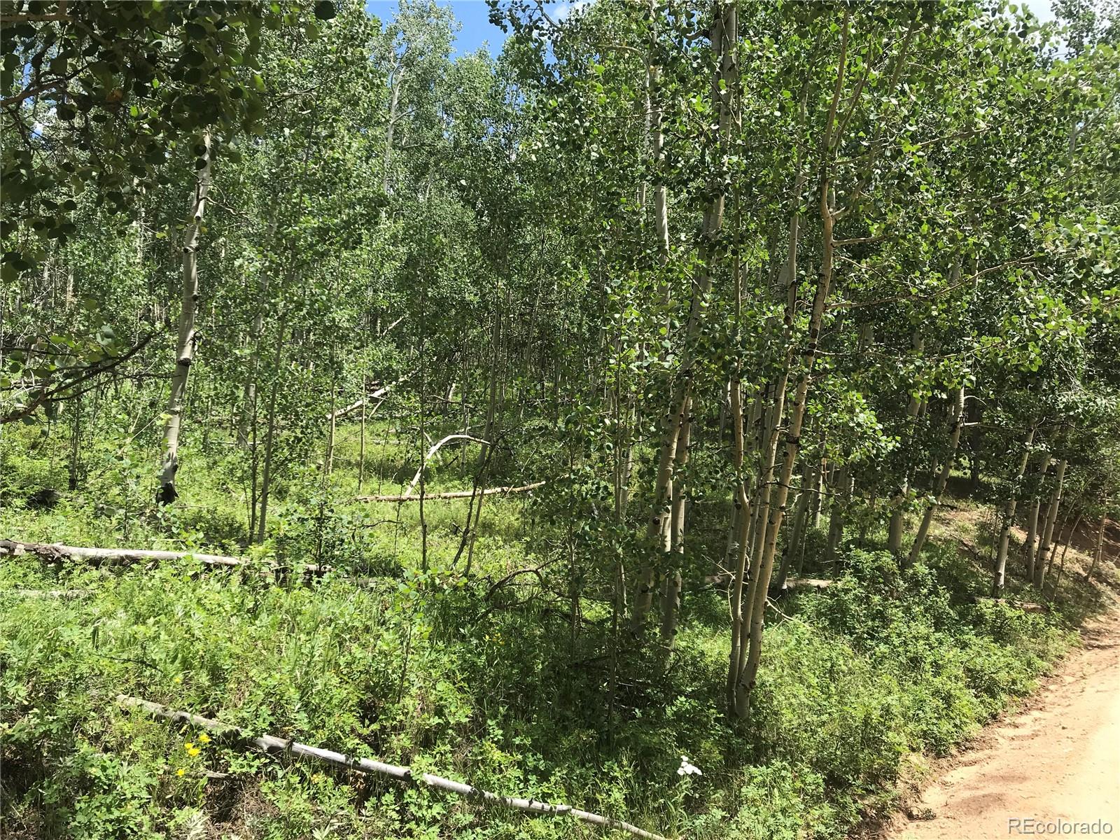 0 Badger Road Black Hawk, CO 80422 - Photo 1 of 25 Gallery Image 1