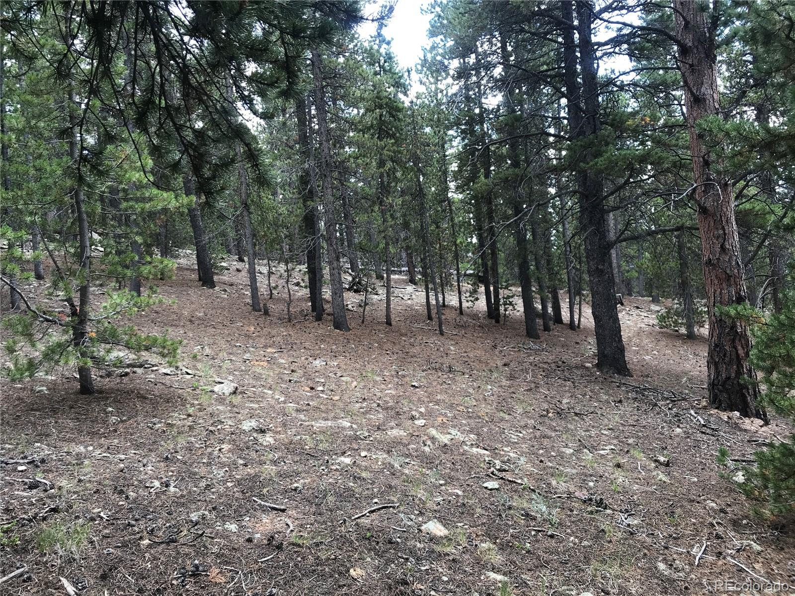 0 Badger Road Black Hawk, CO 80422 - Photo 15 of 25 Gallery Image 15